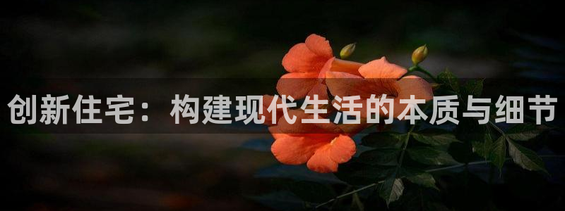 先锋娱乐账号注册不了：创新住宅：构建现代生活的本质与细节