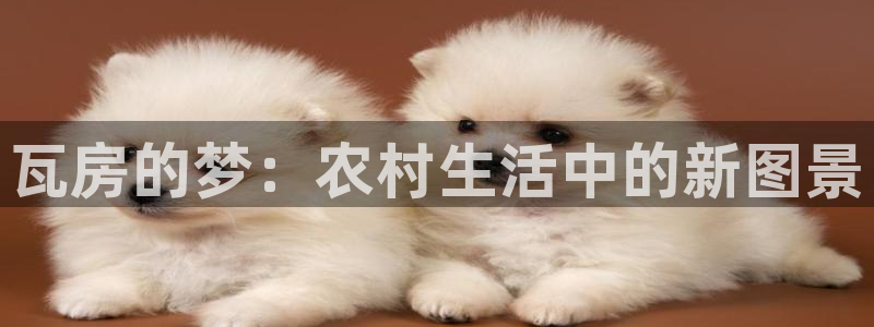时代先锋娱乐：瓦房的梦：农村生活中的新图景