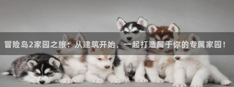 先锋队娱乐：冒险岛2家园之旅：从建筑开始，一起打造属于你的专属家园！