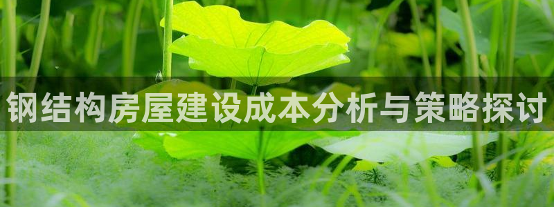 亚洲先锋娱乐招股：钢结构房屋建设成本分析与策略探讨