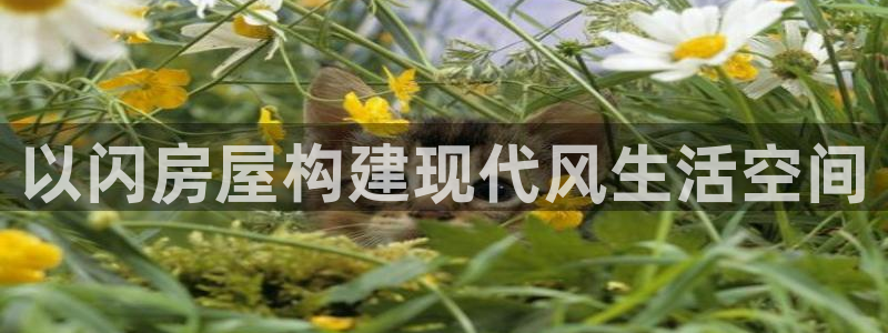 先锋娱乐电子游戏：以闪房屋构建现代风生活空间