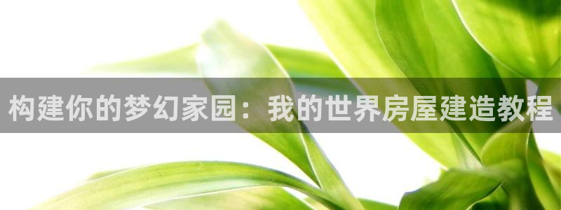先锋娱乐情报：构建你的梦幻家园：我的世界房屋建造教程