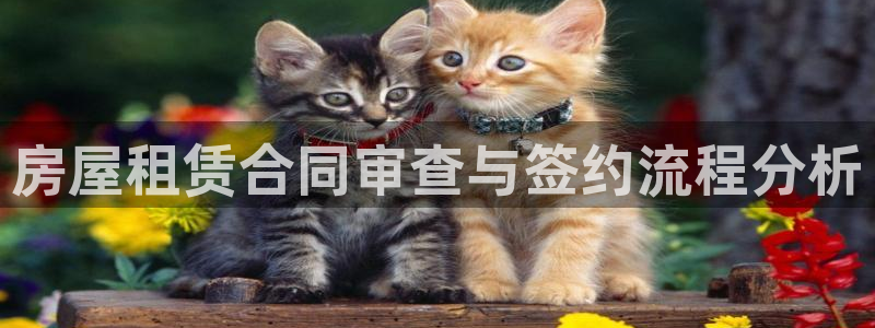 澳门先锋娱乐：房屋租赁合同审查与签约流程分析