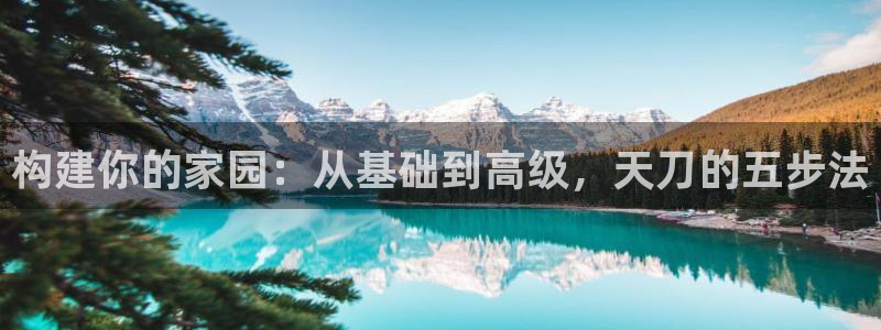 先锋娱乐传媒：构建你的家园：从基础到高级，天刀的五步法