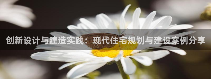 先锋娱乐管理集团怎么样：创新设计与建造实践：现代住宅规划与建设案例分享