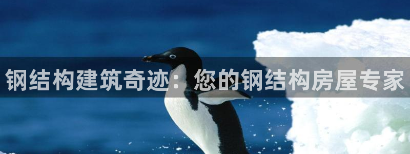 先锋方舟娱乐集团