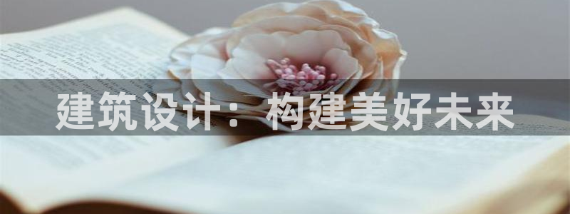 先锋娱乐电子游戏：建筑设计：构建美好未来
