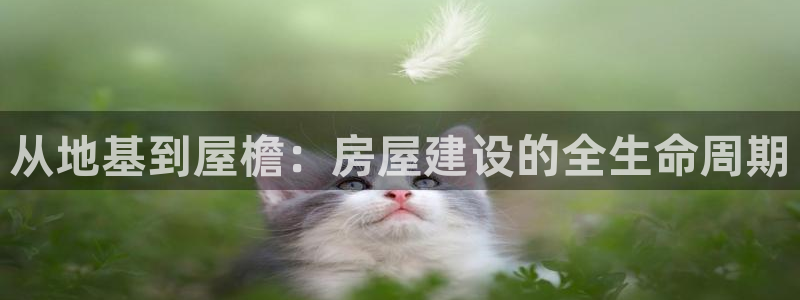 先锋娱乐中国：从地基到屋檐：房屋建设的全生命周期