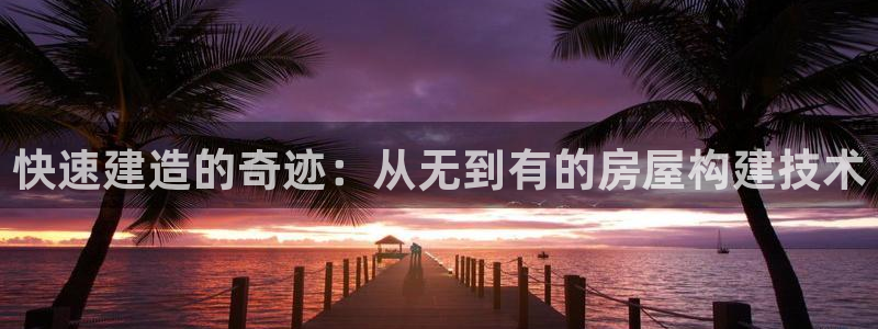 先锋电玩娱乐：快速建造的奇迹：从无到有的房屋构建技术