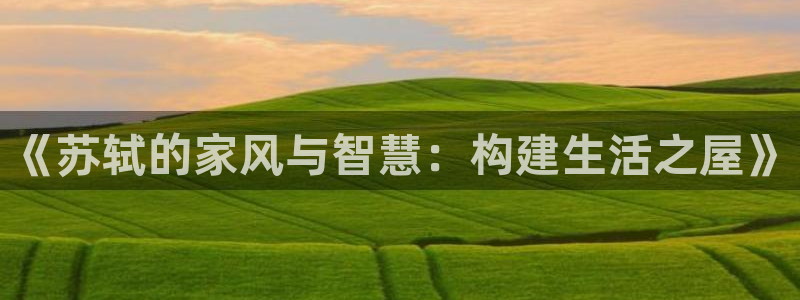 先锋电子车载娱乐系统：《苏轼的家风与智慧：构建生活之屋》