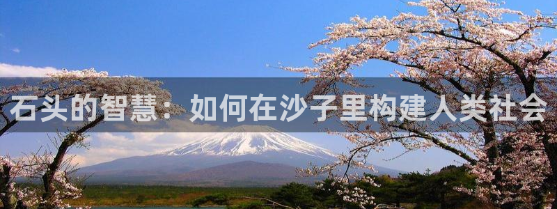 娱乐先锋捕鱼客服：石头的智慧：如何在沙子里构建人类社会