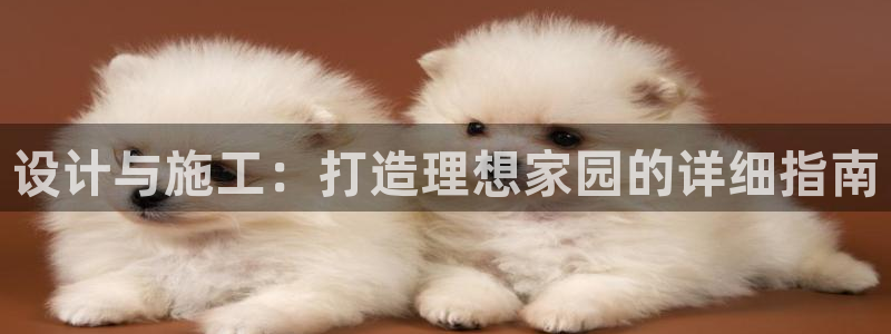 先锋娱乐软件：设计与施工：打造理想家园的详细指南