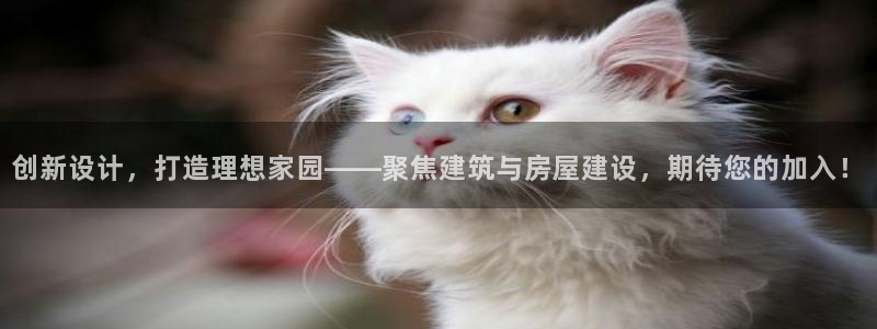 先锋娱乐情报：创新设计，打造理想家园——聚焦建筑与房屋建设，期待您的加入！