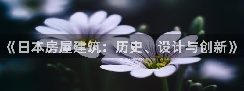 先锋娱乐简介图片