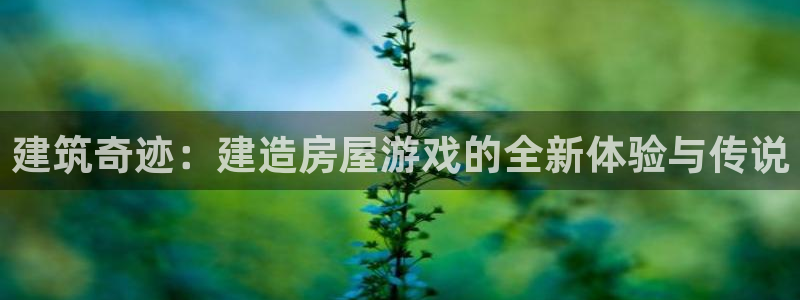 先锋娱乐电话：建筑奇迹：建造房屋游戏的全新体验与传说