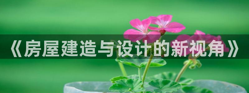 先锋娱乐情报：《房屋建造与设计的新视角》